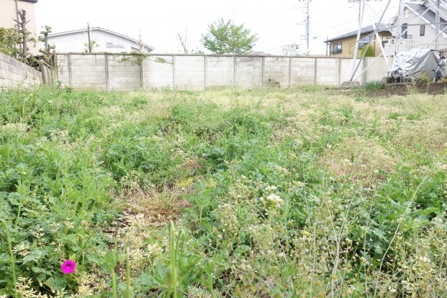 空地を宝に変える！相続した土地の新しい可能性を探ろう